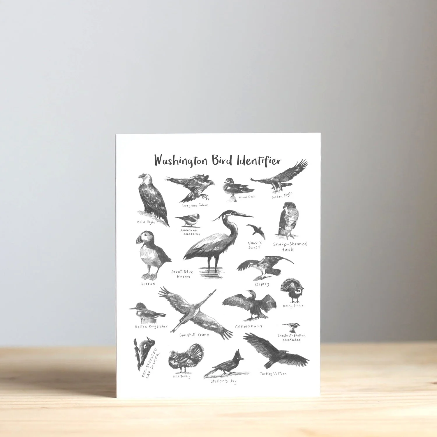 bird whiteページ WBI+front.jpg?format=1000w